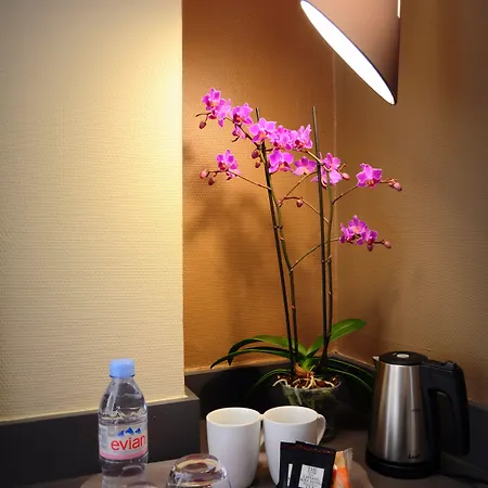 Gratte-ciel Ariana Hotel Villeurbanne
